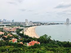 -海边的猫和咖啡馆