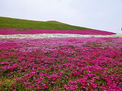 -天河潭旅游度假区