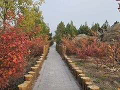 -白水寺森林公园