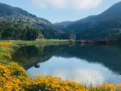 -广州市石门国家森林公园