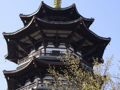 -洋湖国家湿地公园