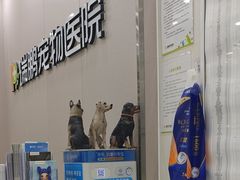 -瑞鹏宠物医院华南总院·夜诊·心脏科·骨科