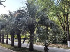 -苏州河梦清园环保主题公园