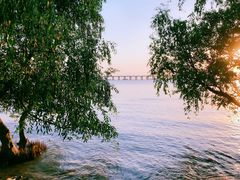 -宝安西湾红树林湿地公园