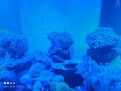 -碧中海汤泉汗蒸酒店