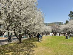 -同济大学(嘉定校区)