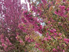 -元大都城垣遗址公园