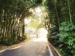 -苏州河梦清园环保主题公园