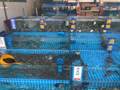 水产区-双福水果批发市场
