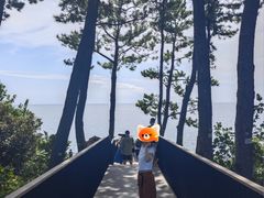 -柱状节理带