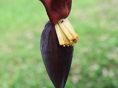 -福建鲤鱼洲酒店