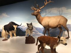 -陕西自然博物馆