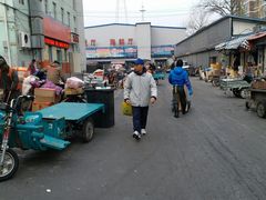 -四道口水产市场