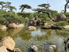 -罗红摄影艺术馆