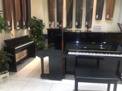 -谈·PIANO(金唐新光界店)