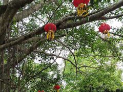 -海南热带野生动植物园
