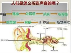 -自然之声助听器·呼吸机(翠微大厦店)