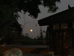 -东部华侨城