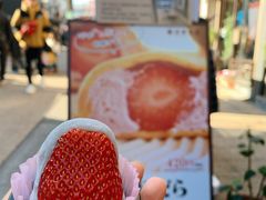 -浅草莓座(あさくさいちござ)