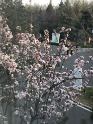 点击看大图 -北京明德医院