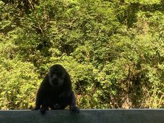 -西岭雪山大飞水景区