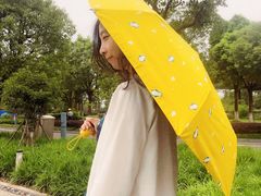 -上海滴水湖皇冠假日酒店