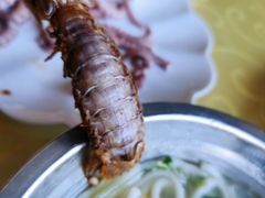 -首占学彬杠面(日韵东方店)