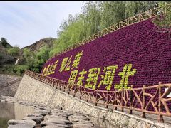-桑干河大峡谷旅游区
