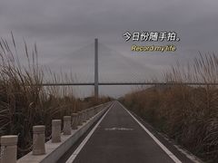 -芒洲湿地公园