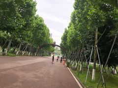 -洋湖国家湿地公园