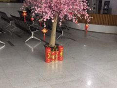 -上海人才大厦