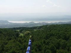 -铁山坪森林公园