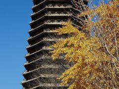 -玲珑塔公园