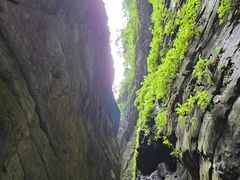 -龙水峡地缝景区