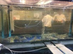 -建兴酒家(班塔通分店)