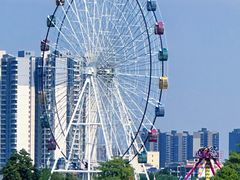 -飞来湖湿地公园
