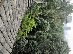 -成都杜甫草堂博物馆
