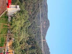 -南丹山森林王国