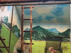 -石家庄市动物园