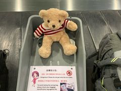 -厦门高崎国际机场-T3航站楼