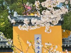 -鸡鸣寺