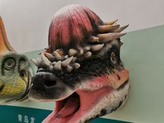 -安徽省地质博物馆