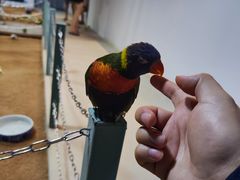 -上海大自然野生昆虫馆(东方明珠·爬宠昆虫探索中心)