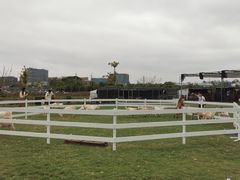 -栖露营camping·天幕烧烤·团建拓展·采摘营地
