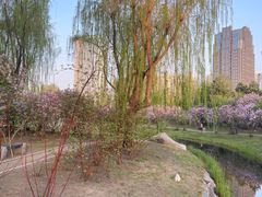 -群力丁香公园