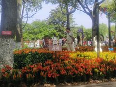 -上海鲜花港