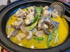 黄焖小白鲨-饭怕鱼(阳光100店)