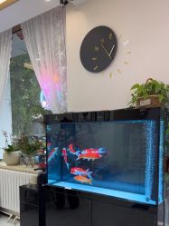 -悦颜美佳·美容·美甲美睫