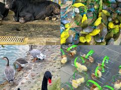 -长春农博园