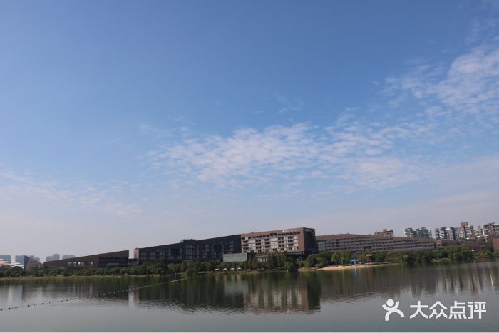 松山湖南湖湾露营营地图片